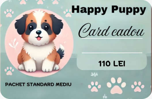 Card Cadou 2