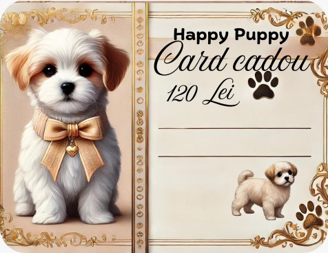 Card Cadou 7